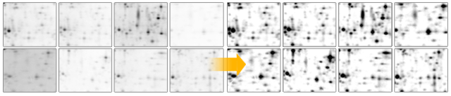 Automatic Contrast Setting Automatic Contrast Setting